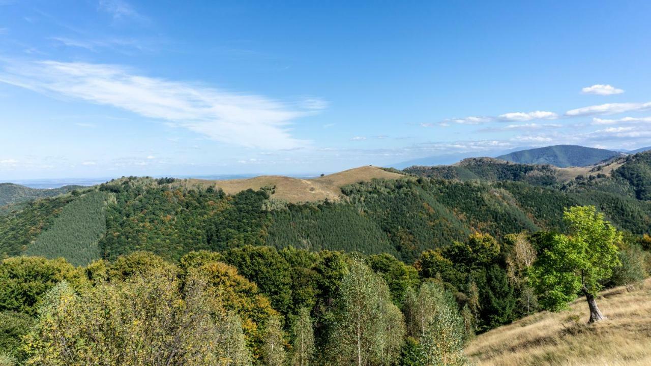 Pensiunea Aria Gasthof 2*