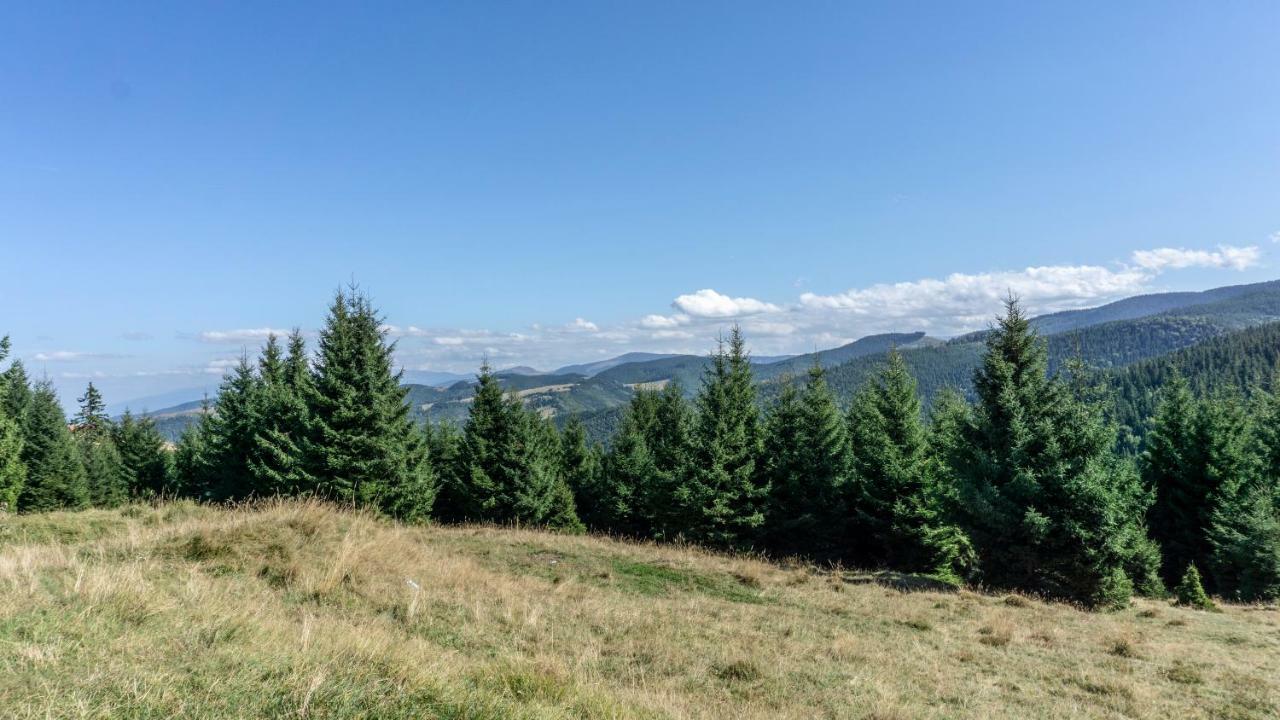 Gasthof Pensiunea Aria