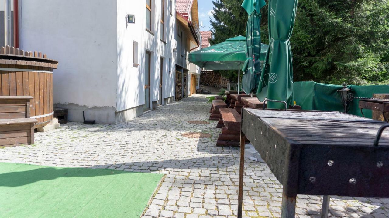 Pensiunea Aria 2* Păltiniş